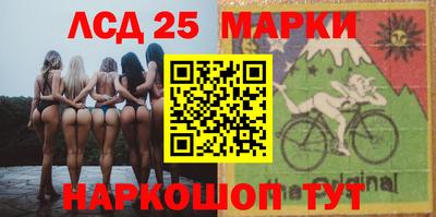 гашик Донской