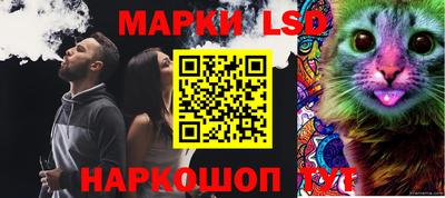 гашик Донской