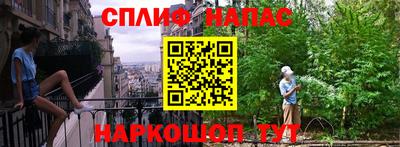 гашик Донской