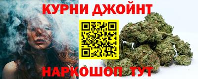гашик Донской
