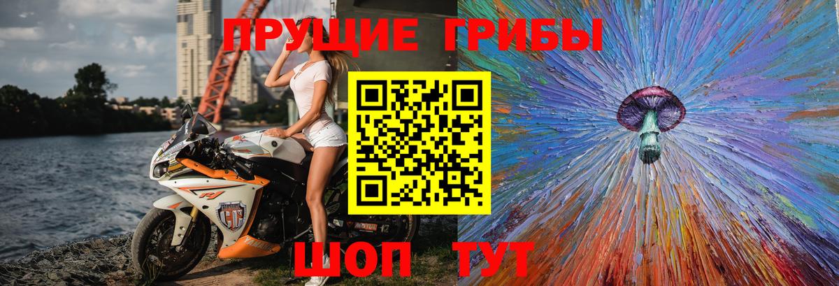 Псилоцибиновые грибы GOLDEN TEACHER  Вход с VPN  Нефтекамск 
