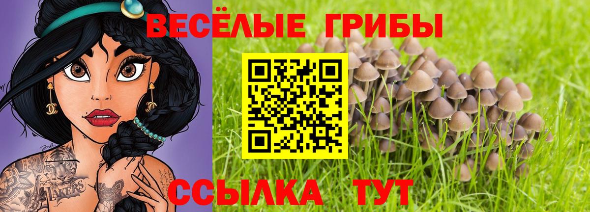 Псилоцибиновые грибы Psilocybine cubensis Нефтекамск